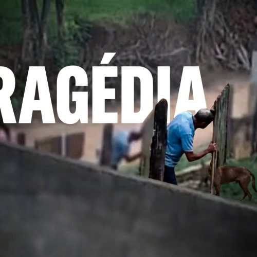 Socorro (SP): Bebê de 11 Meses Morre Após Ataque de Pitbull; Investigações Apuram Responsabilidades