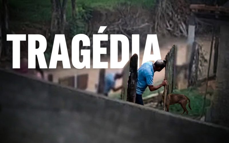 Socorro (SP): Bebê de 11 Meses Morre Após Ataque de Pitbull; Investigações Apuram Responsabilidades