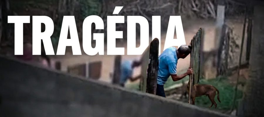 Socorro (SP): Bebê de 11 Meses Morre Após Ataque de Pitbull; Investigações Apuram Responsabilidades