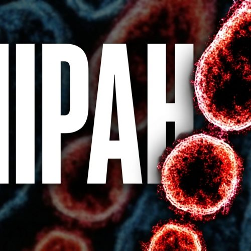 Vírus Nipah: Alerta Global e Medidas Preventivas Após Casos Confirmados na Índia