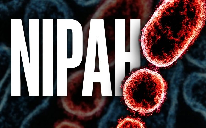 Vírus Nipah: Alerta Global e Medidas Preventivas Após Casos Confirmados na Índia